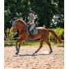 Waldhausen SS26 Fly Veil Performance