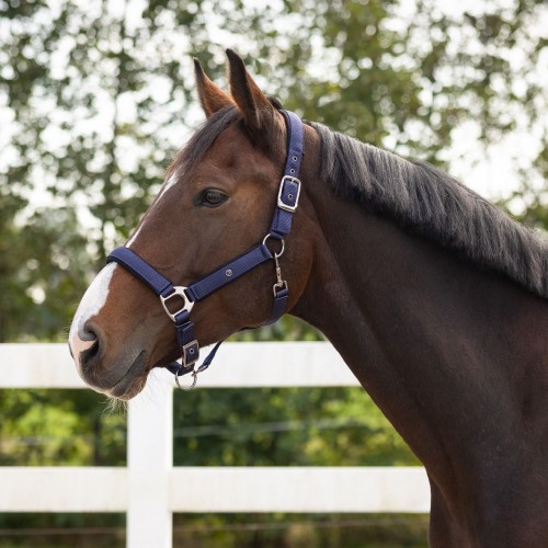 QHP Deluxe Halter