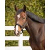 QHP Deluxe Halter