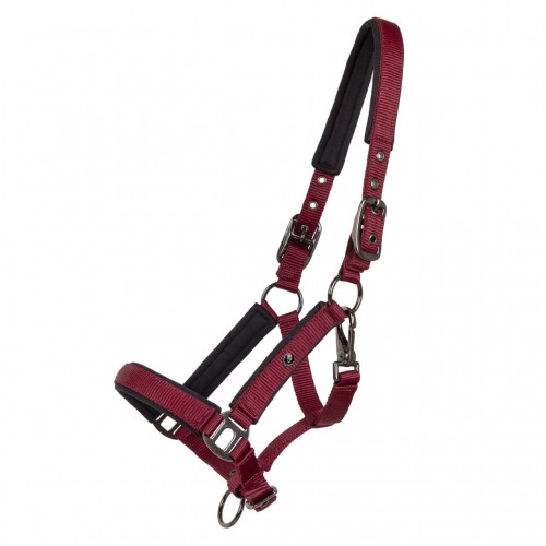 QHP Foal halter Deluxe