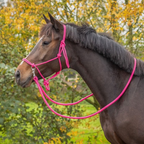 QHP Rope halter Color with reins