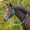 QHP Rope halter Color with reins