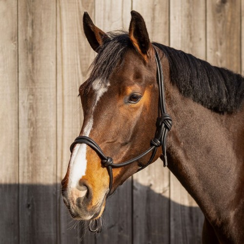 QHP Rope Halter leather Liberta