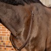 QHP Neck rope leather Liberta