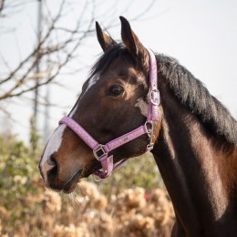 QHP недоуздок Lyvia