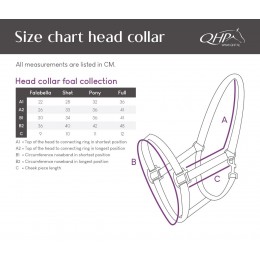 QHP SS26 жеребёнок недоуздок коллекция