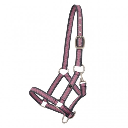 QHP SS26 Foal halter collection