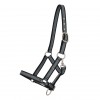 QHP SS26 Foal halter collection