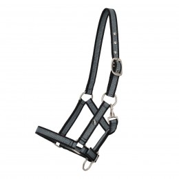 QHP SS26 жеребёнок недоуздок коллекция