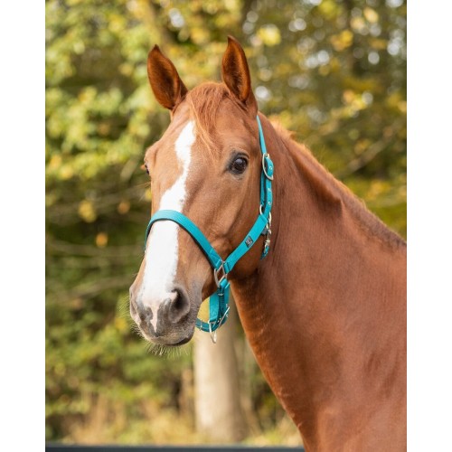 QHP Padded Halter