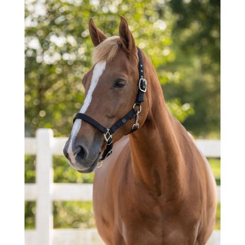 QHP Padded Halter
