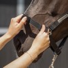 QHP Tack-Up Halter