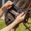 QHP Tack-Up Halter