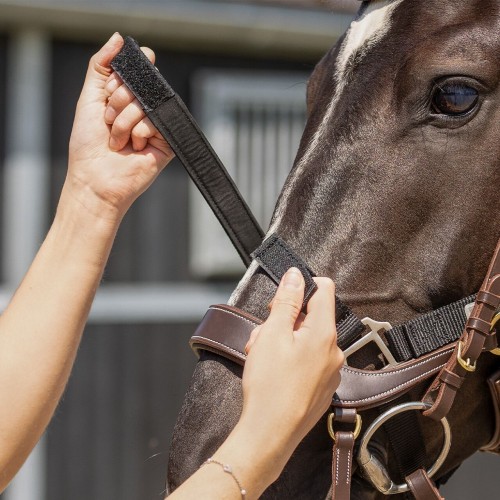 QHP Tack-Up Halter