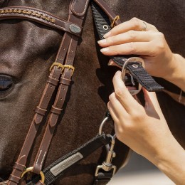 QHP Tack-Up недоуздок