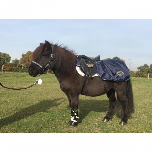 HB Harry and Hector Pony Waterdichte Uitrijdeken Fleece