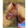 QHP Halter Icelandic