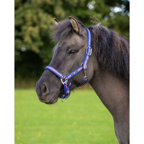 QHP Halter Icelandic