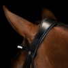 Imperial Riding Snaffle Bridle IRH simple combined noseband