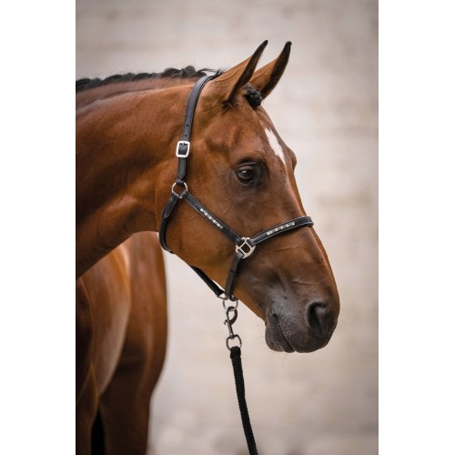 HKM Leather Halter Sparkle