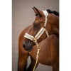 Lauria Garrelli SS26 Halter Limone Elegant