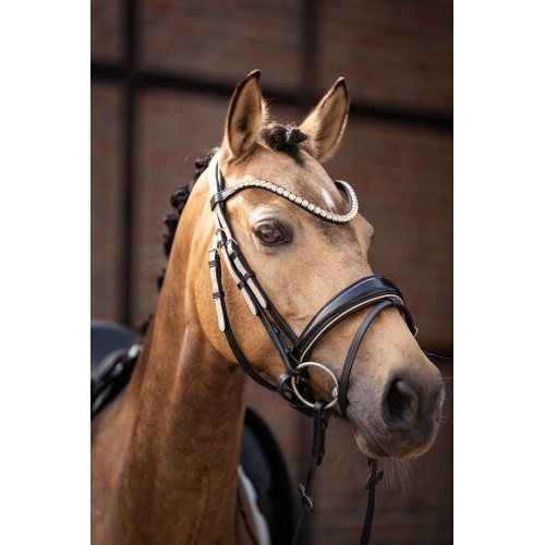 Lauria Garrelli  SS26 Bridle Limone Elegant