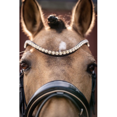 Lauria Garrelli  SS26 Bridle Limone Elegant