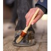 Waldhausen Hoof Brush