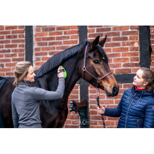 Bense & Eicke Rosborstel