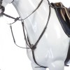 Kavalkade Dekor Breastplate