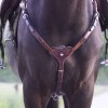 Kavalkade Breastplate Bianca 5-point