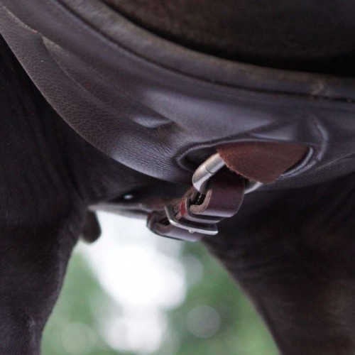 Kavalkade Breastplate Bianca 5-point