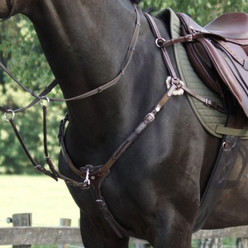 Kavalkade Breastplate Bianca 5-point