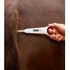 Waldhausen Digital Thermometer