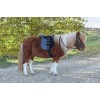 Covalliero Economy Saddle Set Pony