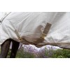 Kentucky Sweet Itch Fly & Summer Comfort Eczema Rug