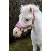 Kentucky Velvet Halter Unicorn Glitter