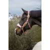 Kentucky Velvet Halter Unicorn Glitter