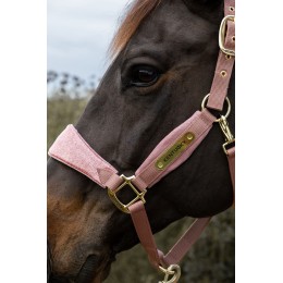 Kentucky Velvet недоуздок Unicorn с глиттером