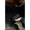 Grooming Deluxe Steel Curry Comb