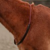 Horka Neckrope Half Leather/Half Rope