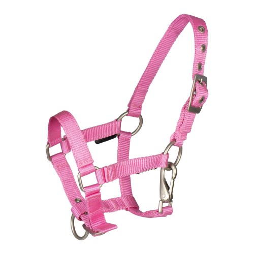 Hotka Foal Halter with Clip