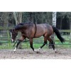 Horka Cotton Lunging Aid