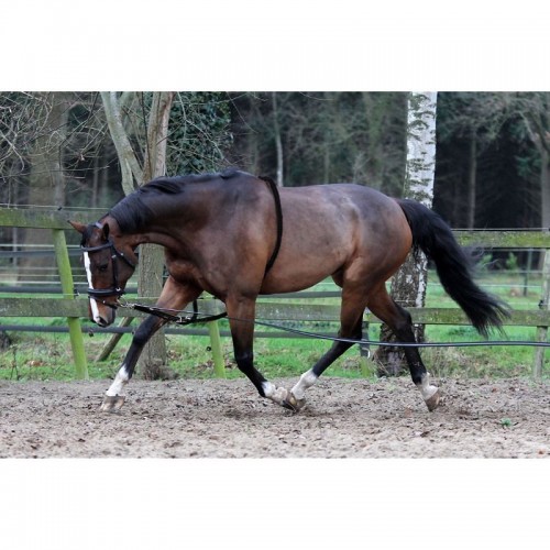 Horka Cotton Lunging Aid