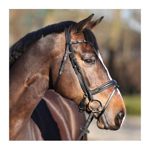 Kavalkade Ivette Bridle