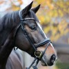 Kavalkade Bridle Juliana