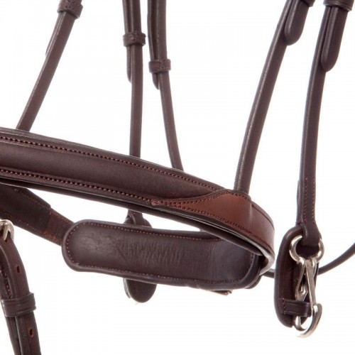 Kavalkade Bridle EveryDay