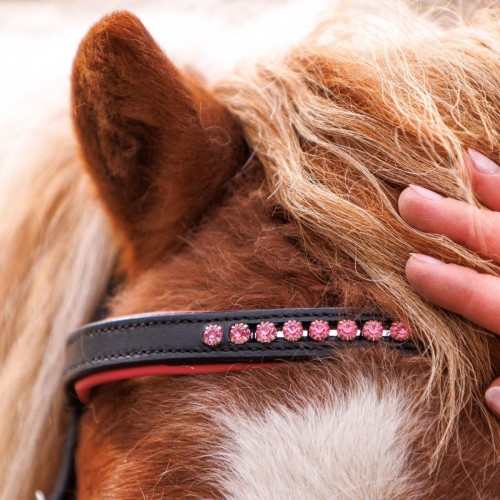 Kavalkade Shetlander Bridle Maja