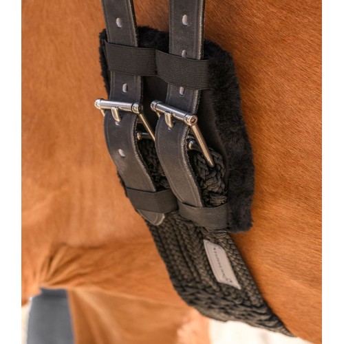 Waldhausen Girth Protection Path Buckles