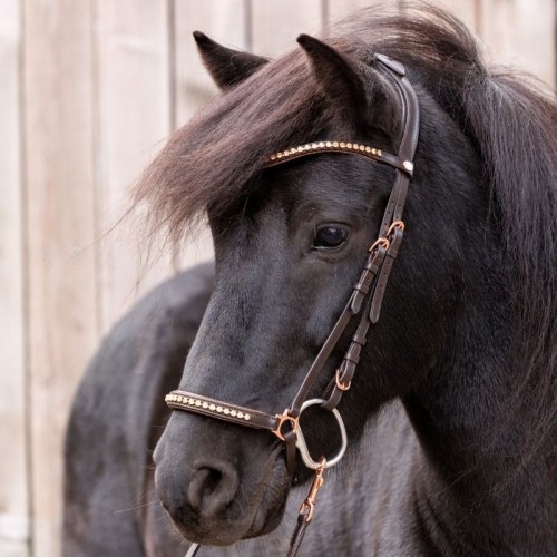 Kavalkade IJslander Freya Bridle